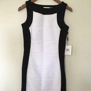 Calvin Klein Ponte Knit Dress